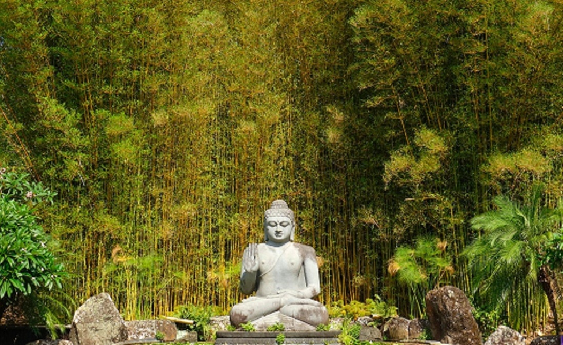 我如何走入如來正法的大门