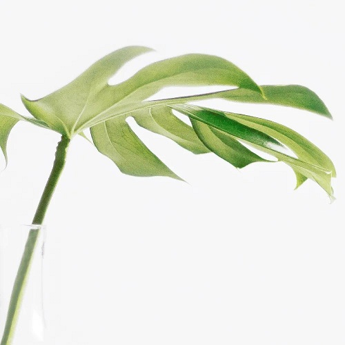 春天多喝汤，不惧干燥，不怕倒春寒