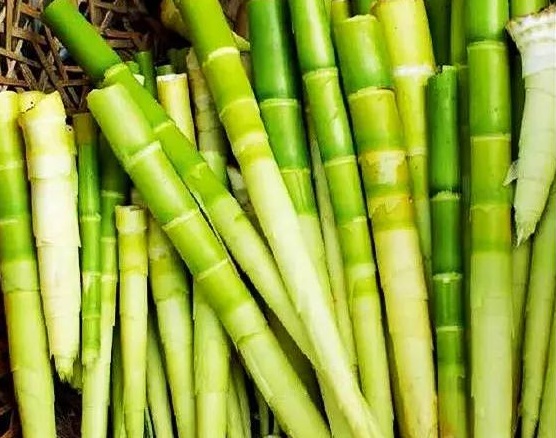 肥胖臃肿的体态，如今身材均称皮肤细腻，想知道妙方吗？