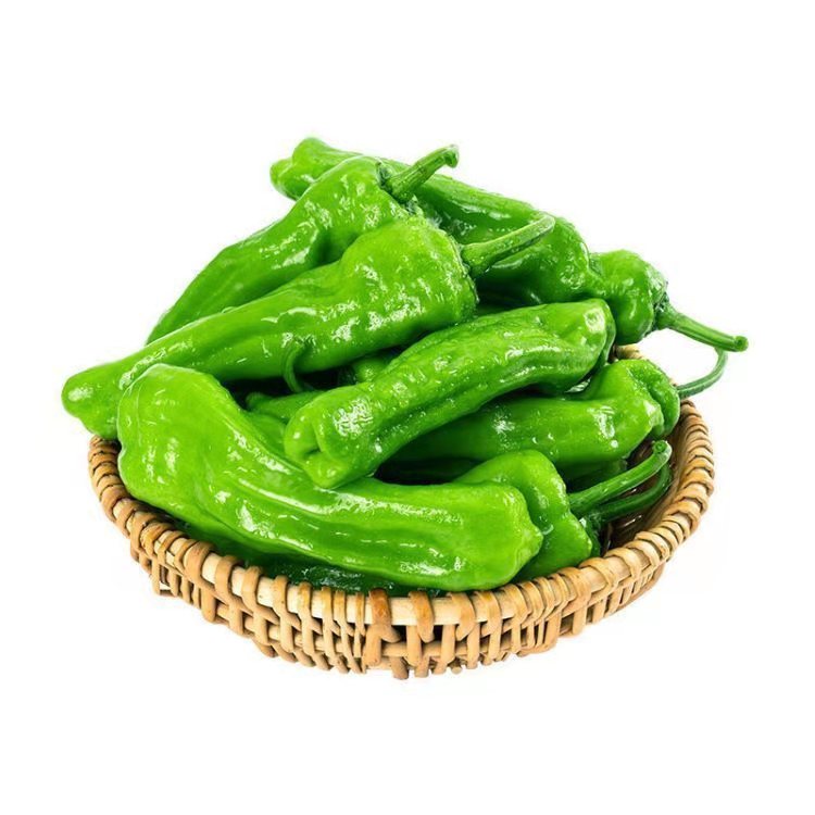 吃素 | 逛逛北方夏天的菜园子之青辣椒