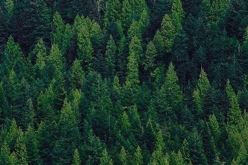 二十六刀的故事