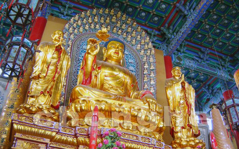 为什么妈妈只能给孩子吃泥巴？我们幸福吗？