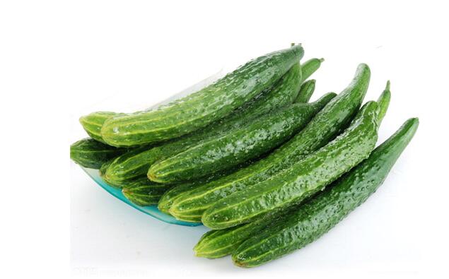 吃素 | 逛逛北方夏天的菜园子之黄瓜