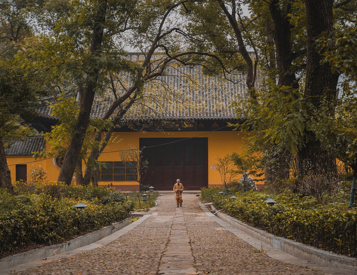 认识众生的解脱主