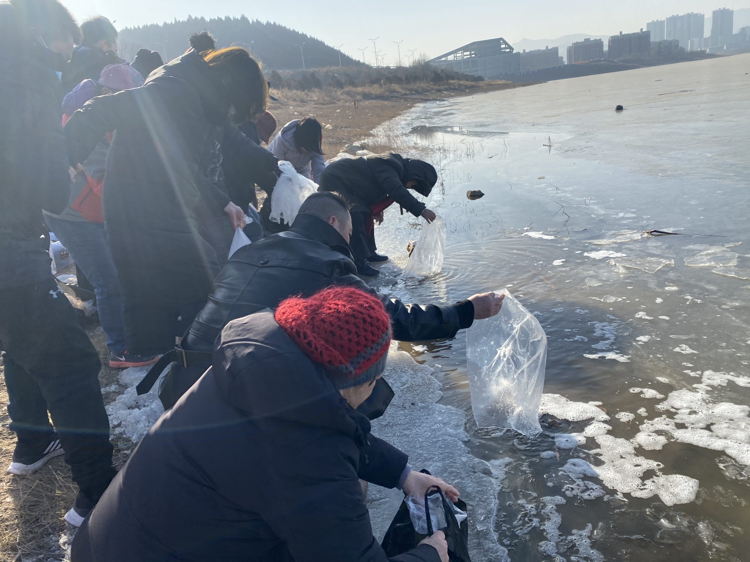 因果 | 放生的意义与功德