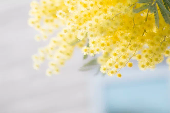 胃不好？少吃三果，多喝三茶！