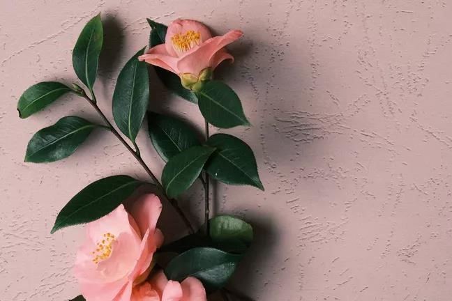 门口挂镜子能辟邪吗？求签问卦准不准？