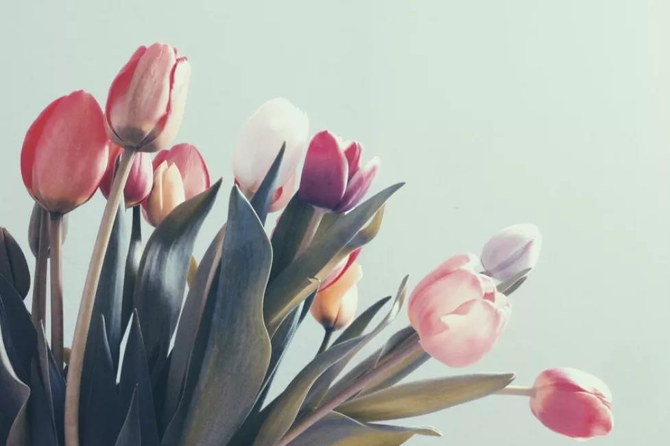 我的分享解开了她心中的疙瘩