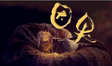 “念佛的人就是佛”吗？