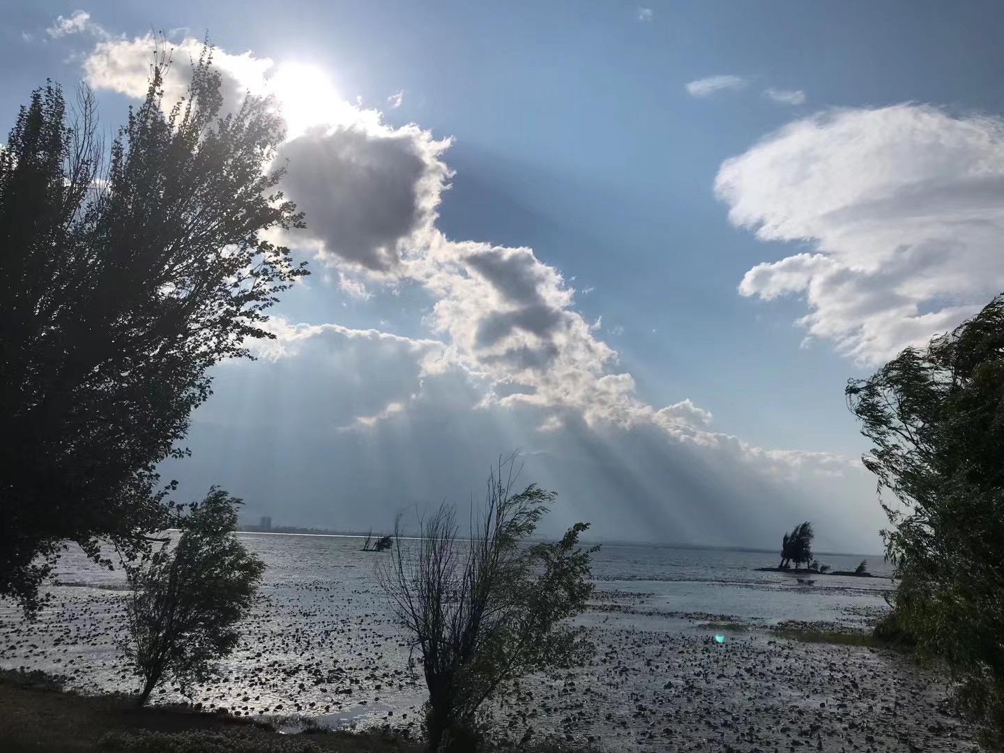 父亲忌日，我学习目犍连尊者的行举能帮上父亲吗？