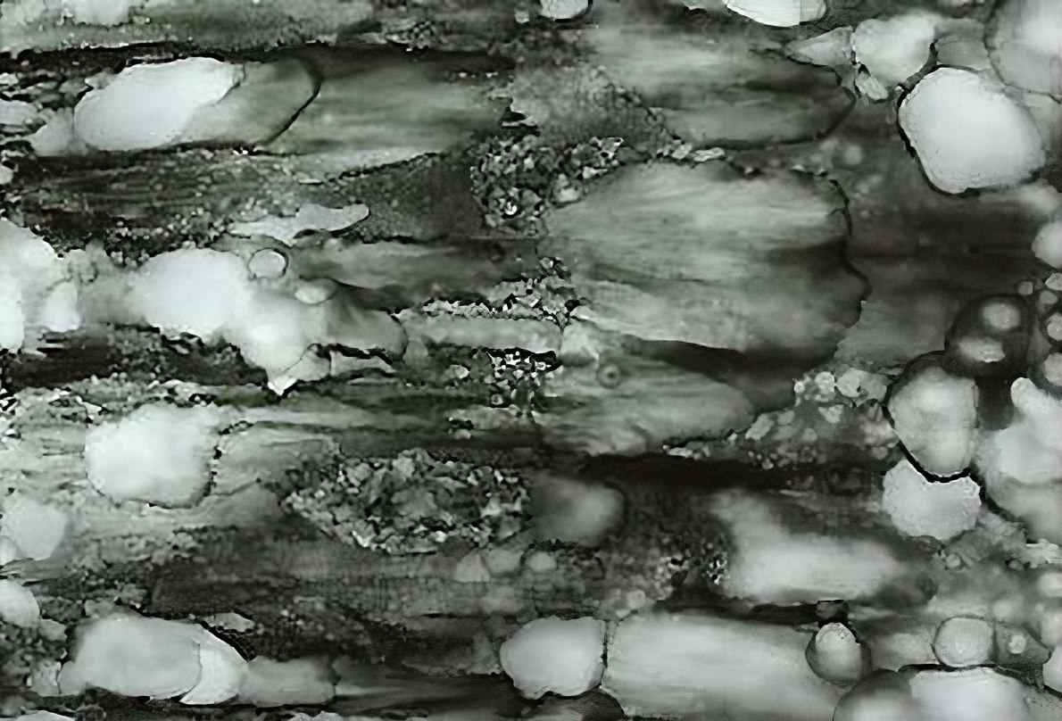 五明妙谙 | 佛陀超实派艺术《玉板》- 理荷玉