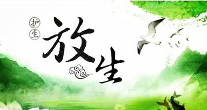 我的多彩放生经历：霸道、小气、比女人还“女人”
