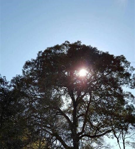 含泪记录父母临终往事，解密丧事中民俗迷信与佛门孝道的迥异