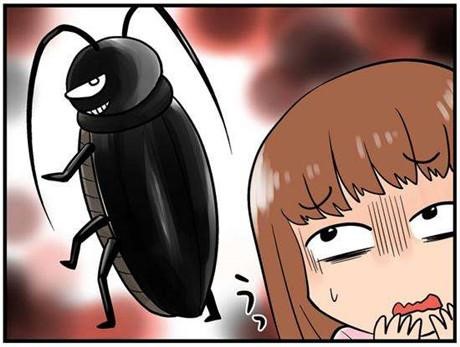 蟑螂越杀越多怎么办？我找到了慈悲这味除蟑的灵丹妙药