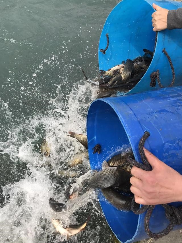 暴雨天刹车失灵，车子冲到悬崖边时，观世音菩萨显灵救命！