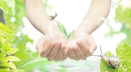 当大批蟑螂在我家“生活”时，我的“慈心不杀”让它们搬了家