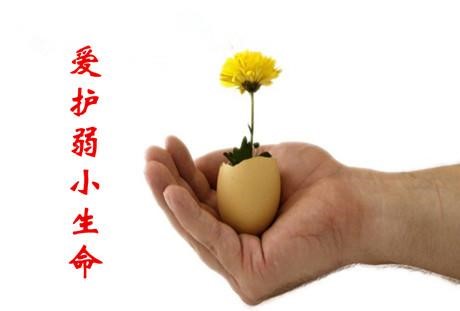 感恩来到我家的这群蚂蚁，它们在助缘我修行啊！