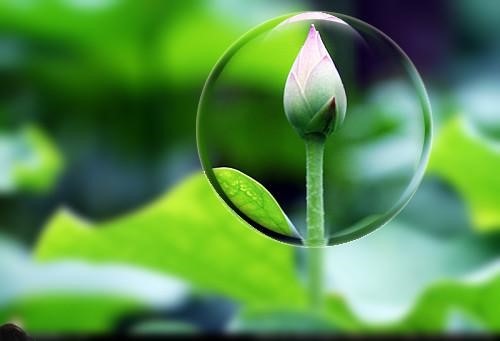 每天真诚忏悔，奇迹发生了！