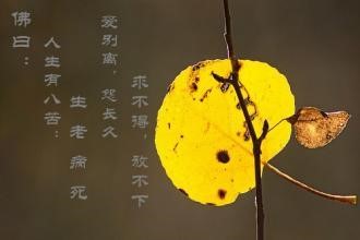 佛法告诉你怎么转苦为乐！你想继续被痛苦追着跑还是转向跟着快乐走呢？