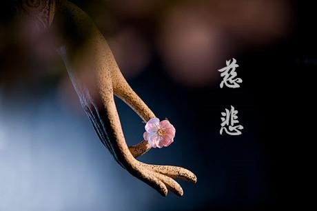 四千万人中的幸运儿  学佛让我圆了做母亲的梦！