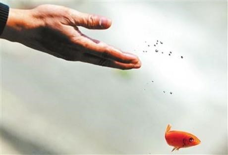 内心是否真慈悲之——日常生活中的放生护生