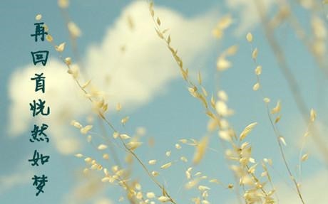 什么是八风？八风袭体的具体表现？如何对治？