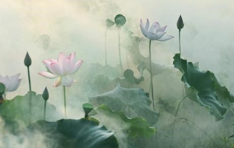 人最重要的事业究竟是什么？