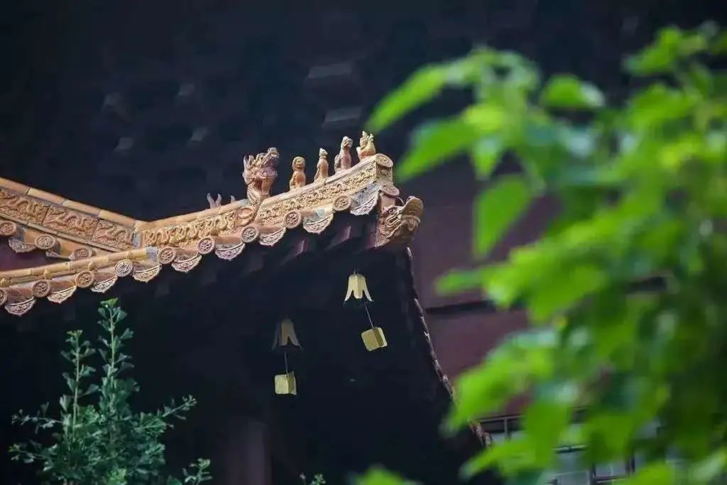 劝诫家人反成仇，学佛明理得自由