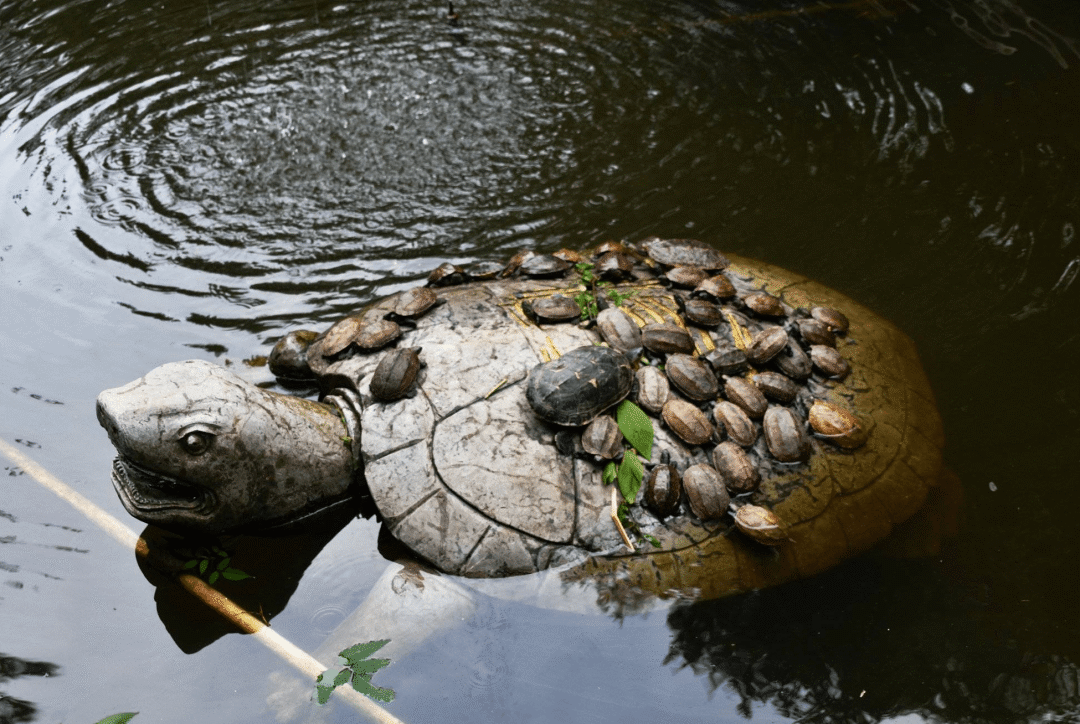 因果|我很善良，可为什么还会生病受折磨?