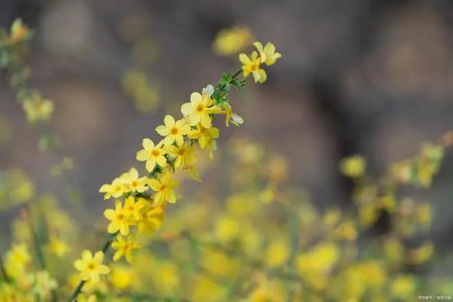 修行 | 若能遇事不责怪他人，就是成熟的标志