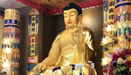 说说学习如来正法前后发生的事儿