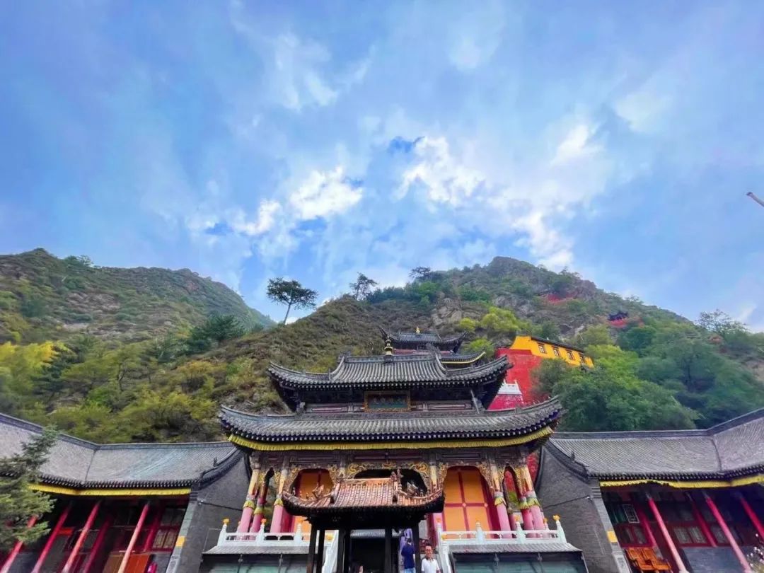 大“疫”之下岂有完肤之地，人们做的那些事儿意味着什么？