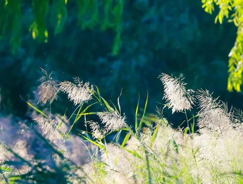 无常离我们有多远？