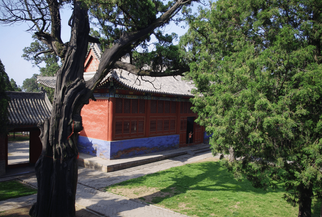 什么因缘让这位曾经英俊的男子精神失常，沦为乞丐？