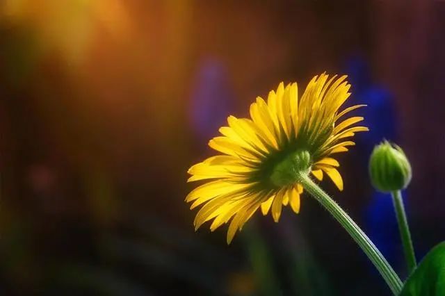 母亲节这天，我是这样做的。你呢？