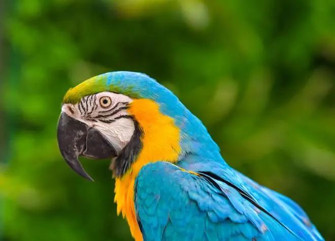 你不相信有轮回，轮回却一直在发生