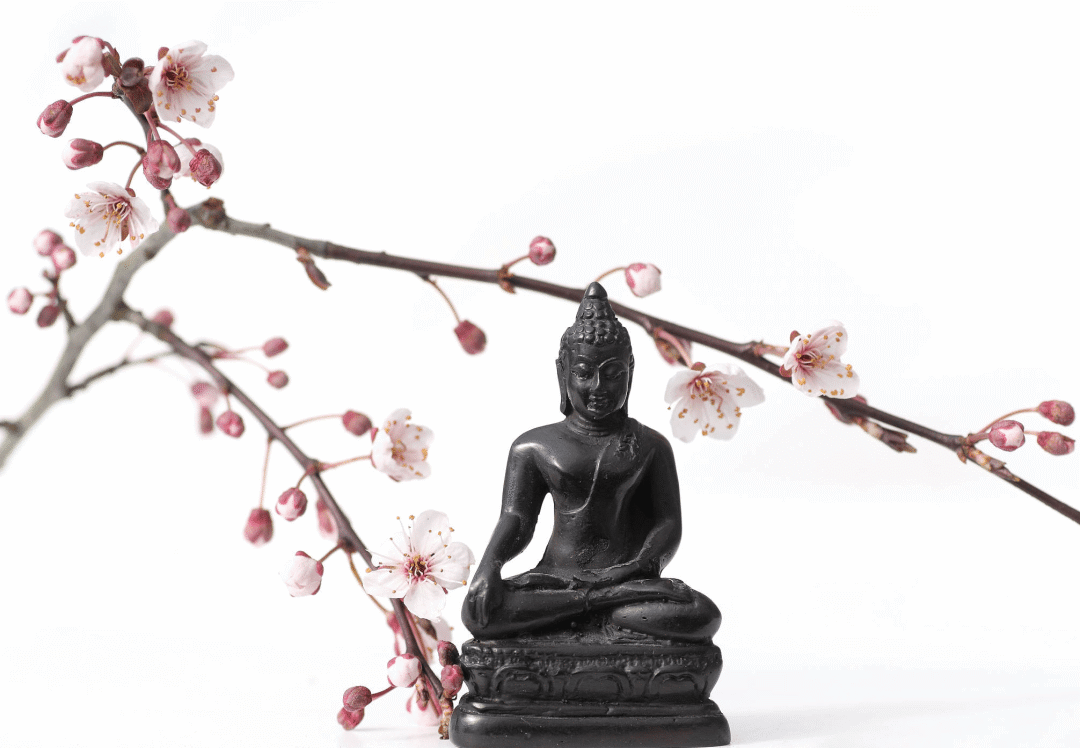 看到蚂蚁分工协作利索搬运食物的情景，我好高兴啊！