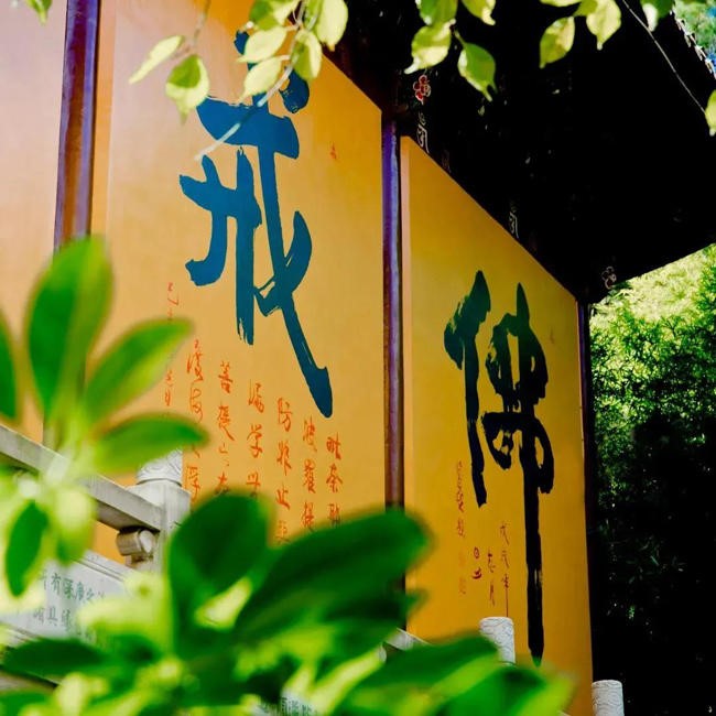 修改戒律是为了顺应时代？可笑！