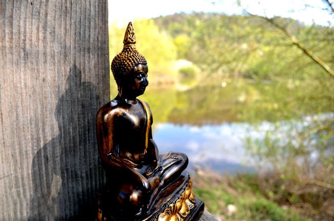 只要是袈裟就供奉？这不是恭敬，而是造业！